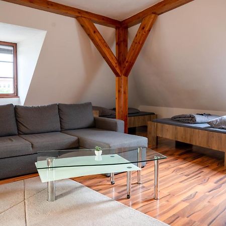 Apartmány V Mlýnské strouze Plzeň Esterno foto