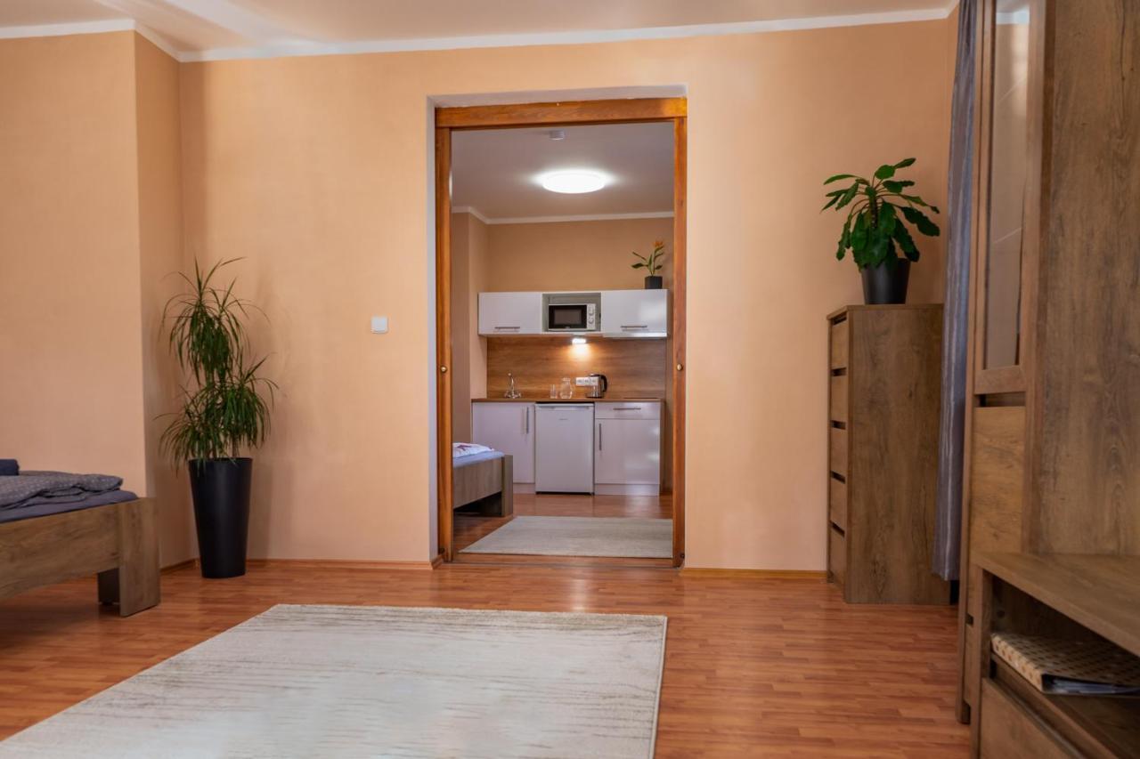 Apartmány V Mlýnské strouze Plzeň Esterno foto