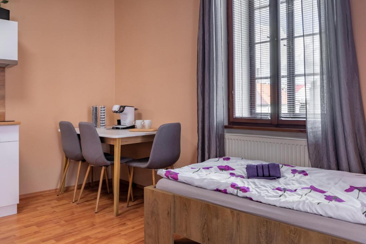 Apartmány V Mlýnské strouze Plzeň Esterno foto