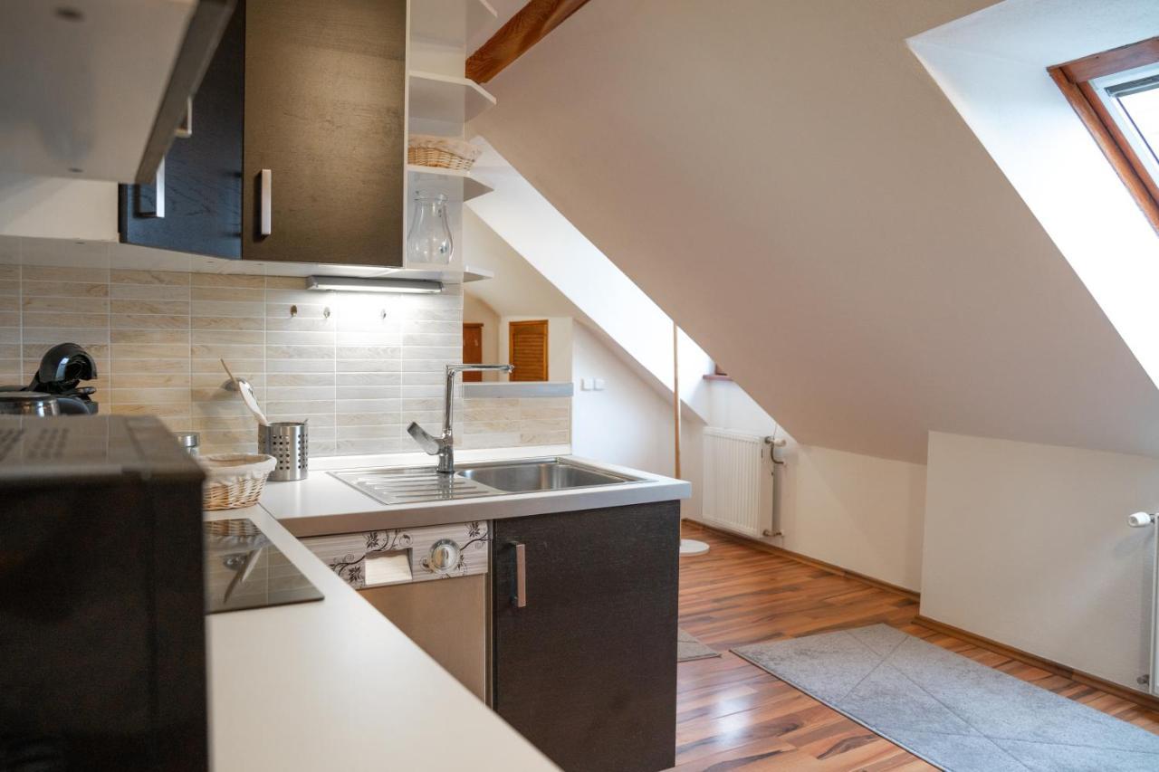 Apartmány V Mlýnské strouze Plzeň Esterno foto